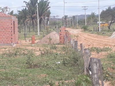 LOTE