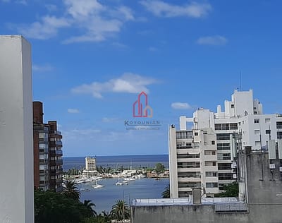 Pent House unico, Piso 4, Garage, terraza exclusiva 30 m2 con parrillero y vista a Puertito del Buceo, Venta apto.1 dorm. Escritura judicial