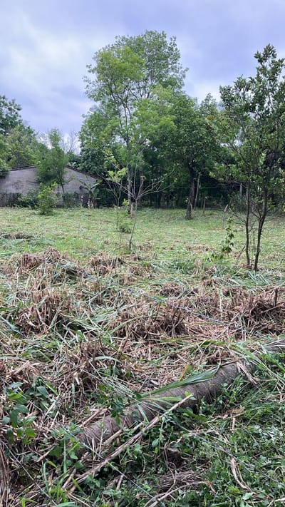 Terreno