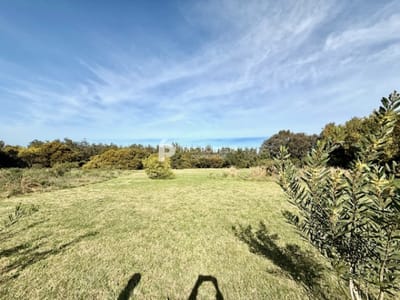 Lote de 5000 m2 en Mangrullos en Venta