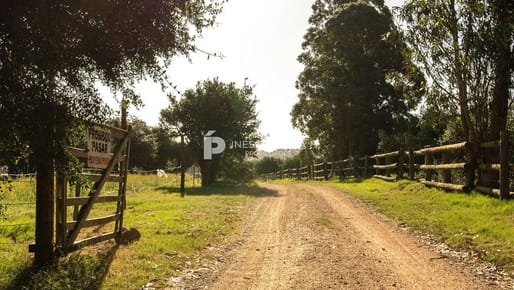 Terreno en Venta de 11 hectáreas en La Pataia