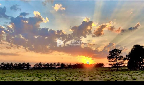 Venta campo 5 hectáreas