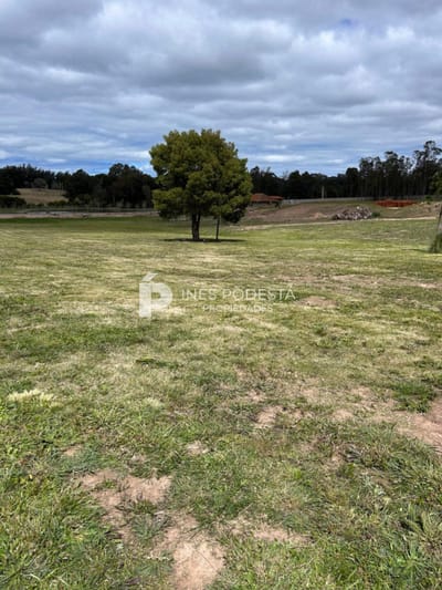 LOTE EN CHACRA DEL GOLF-PUEBLO MIO