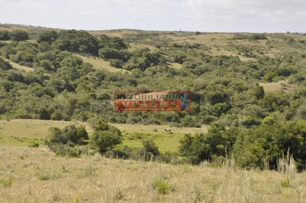 Venta Chacra ubicada en Garzón