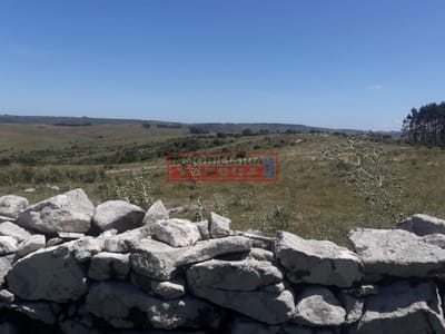Campo en Carape - Departamento de Maldonado