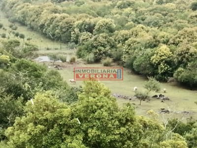 Hermosa CASA DE CAMPO TURÍSTICA