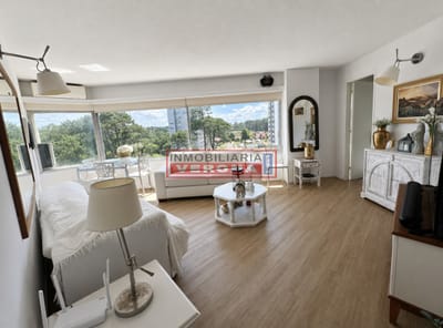 Apartamento en venta Punta del Este, Roosevelt