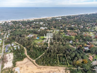 Lotes de 2.500 m² en El Golf, Punta del Este — Naturaleza, Estilo  - Ref : PBI13340