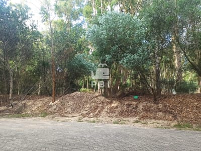 Terreno en Design Village  - Ref : PBI13480