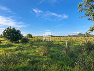 Venta de lote en Eden Rock - Ref : PBI14738