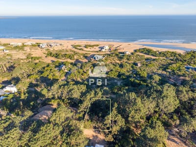 Terreno en venta en Chihuahua, Punta Ballena - Ref : PBI15110