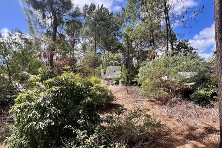 Terreno en venta en Club Del Lago, Punta Ballena - Ref : PBI15702