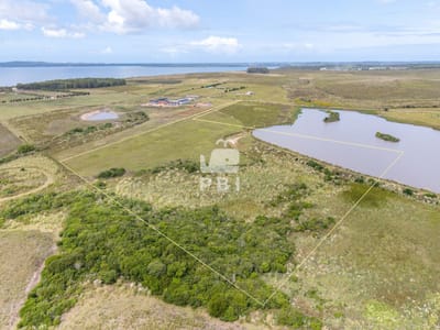 Chacra en venta en Laguna del Sauce - Ref : PBI15732