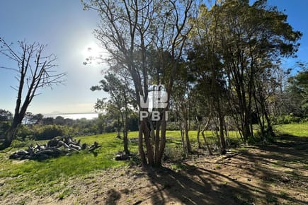 Terreno en venta en Las Cumbres, Punta Ballena  - Ref : PBI15825