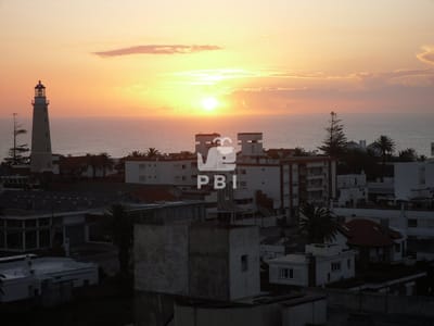 Apartamento en Península 2 dormitorios con garage - LAFAYETTE  - Ref : PBI15922