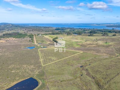 Venta Chacra en venta de 3 Has en Laguna del Sauce, Punta Ballena  - Ref : PBI16013