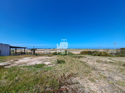 Venta de lote en Santa Monica  - Ref : PBI16143
