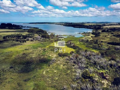 Chacra en venta Punta Ballena  - Ref : PBI1851