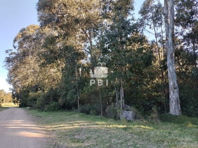 Venta de lote en Sauce de Portezuelo - Ref : PBI2890