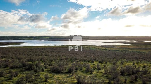 Venta de Chacra en Laguna del Sauce, Punta del Este - Ref : PBI3127