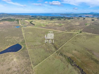 Venta Chacra en venta Laguna Del Sauce  - Ref : PBI781