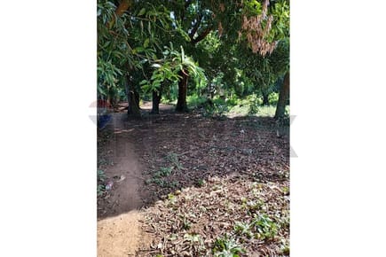 Terreno Ideal en Capiatá: Tu Sueño a Un Paso