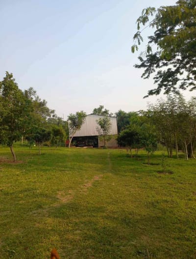 Vendo Granja 20 Hectáreas - 800.000.000 Gs