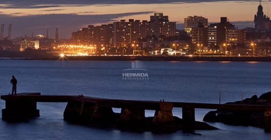 Canelones y Ejido Excepcional padrón con buen frente y altura