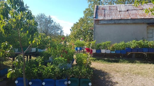 VENTA DE CHACRA EN MELILLA