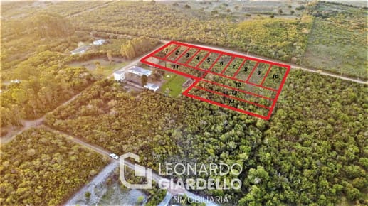 Venta - Terreno - Carmelo - Punta Gorda