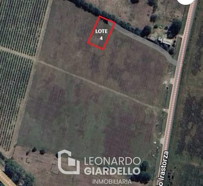 Lote 4 Viñas de Carmelo