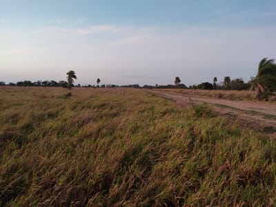TERRENO EN VENTA URBANIZACIÓN VIRU VIRU