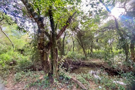 Terreno-Venta-Ruta PY03 Arroyos y Esteros, Arroyos Y Esteros, Cordillera