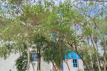 Casa - Venta - Piribebuy, Paraguay