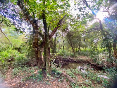 Vendo terreno en Arroyos y Esteros.