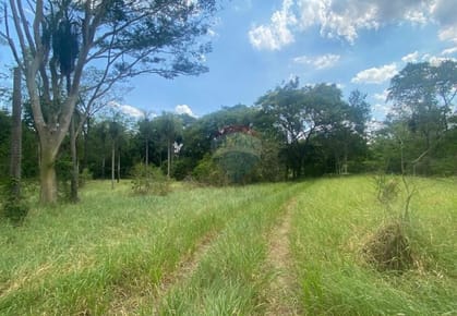 Vendo una hectarea en San Bernardino