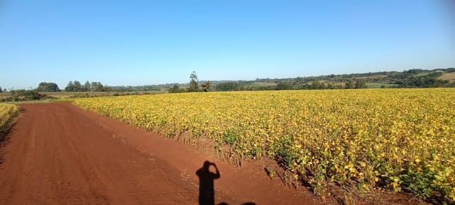 Hermosa y productiva propiedad rural en venta