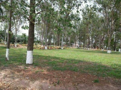 Bienes Raices Fenix Vende: