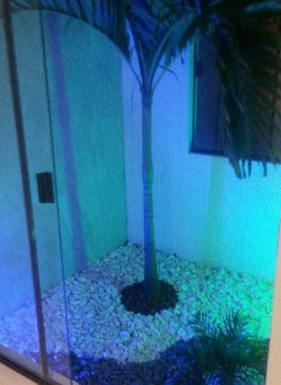 HERMOSA CASA EN ALQUILER EN CONDOMINIO
