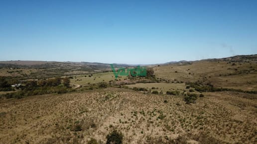 Campo de 86 has a la altura del km 58 Ruta 39 Maldonado