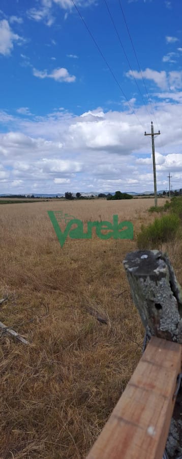 Venta de Campo, próximo a Ruta 9, Maldonado, km.82, de 5 has.próximas a los Dos Puentes