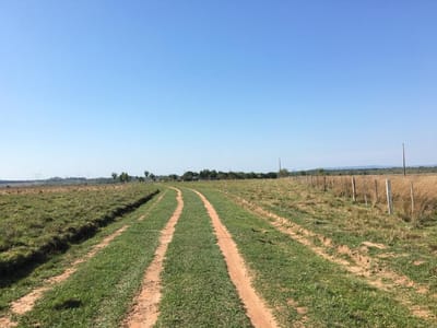 Vendo Campo en Ybycuí | 90 Ha Productivas | Equipado | Gs. 40 Millones/Ha