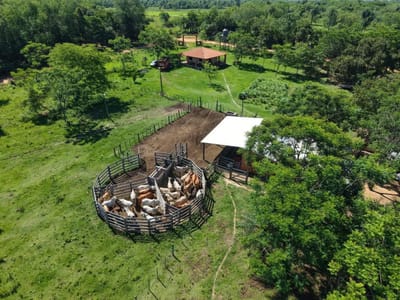 IMPONENTE CAMPO EN VENTA 14,5 HA MECANIZADA EN LA CIUDAD PRIMERO DE MARZO