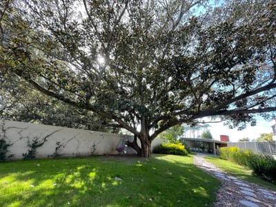 VENTA   APARTAMENTO CARRASCO