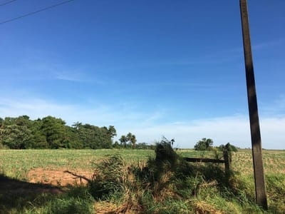 CAMPO EN VENTA | 15 HECTÁREAS CON GRAN POTENCIAL PRODUCTIVO EN ABAÍ, CAAZAPÁ