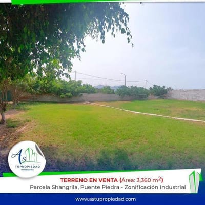 VENTA TERRENO SHANGRILLA PUENTE PIEDRA - ADV-M-66454482