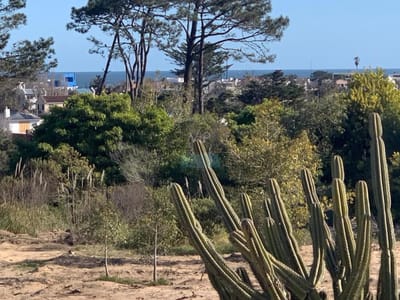 Venta terreno en La Barra - Punta del Este
