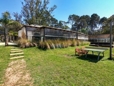 Venta local en Punta Ballena