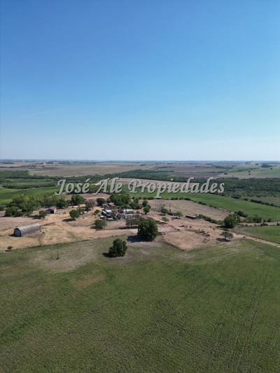 En Venta Campo Agricola De 187 Ha Ubicado A 23 Km De Carmel