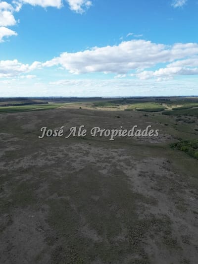 En Venta Campo De 663 Ha En 2 Padrones, Depto De Colonia